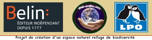 Guide ornitho, comment aider la nature en achetant un guide